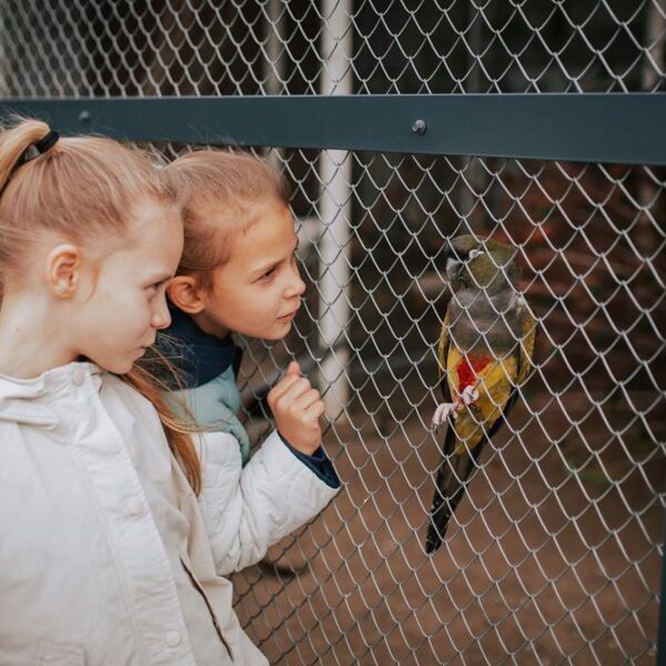 mini zoo, atrakcje dla dzieci, hotel przyjazny dzieciom, hotel pod dzieci, zwierzęta, hotel dla rodzin, hotel wielkopolska 7