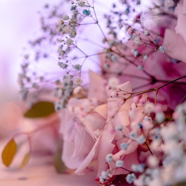 Katarzyna Cepa Desing