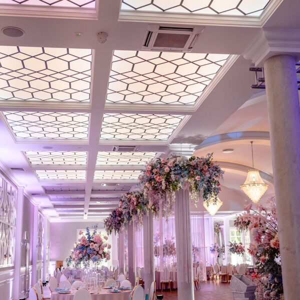 Katarzyna Cepa Desing