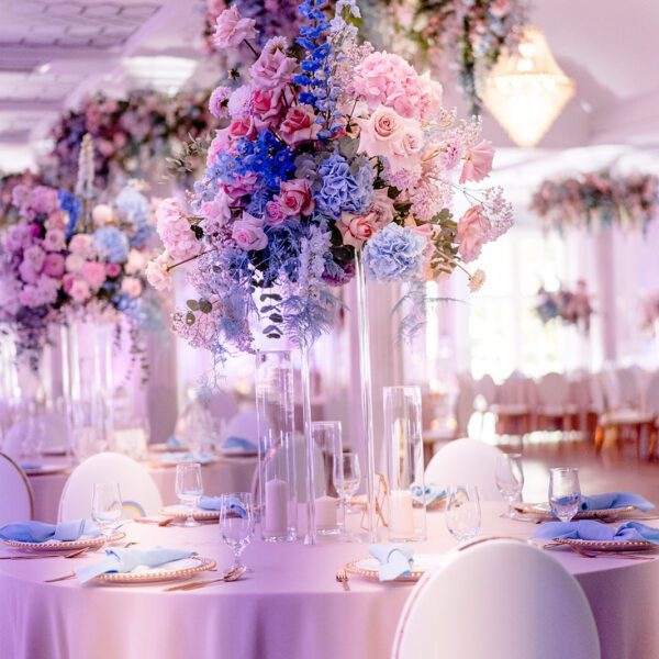 Katarzyna Cepa Desing