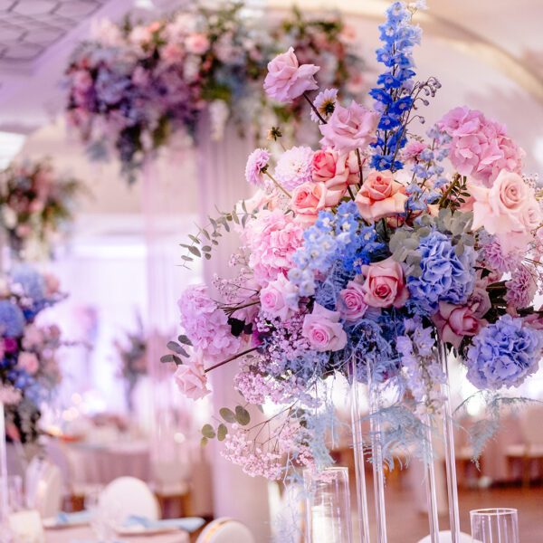 Katarzyna Cepa Desing