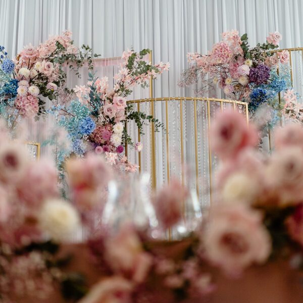 Katarzyna Cepa Desing