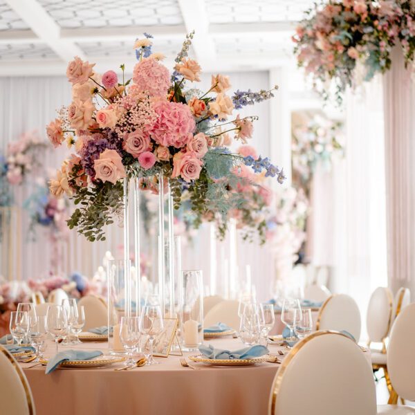 Katarzyna Cepa Desing