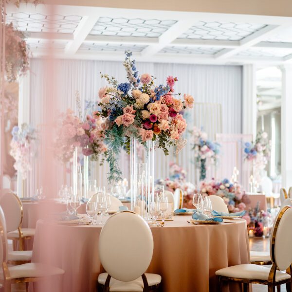 Katarzyna Cepa Desing