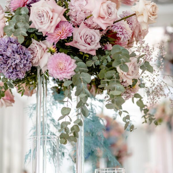 Katarzyna Cepa Desing