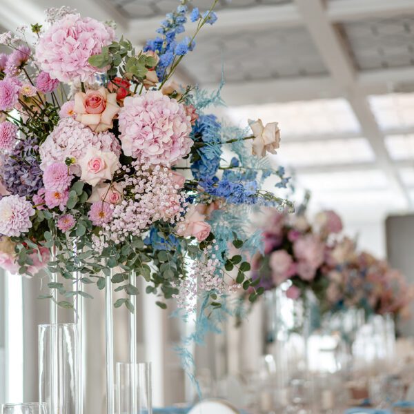 Katarzyna Cepa Desing