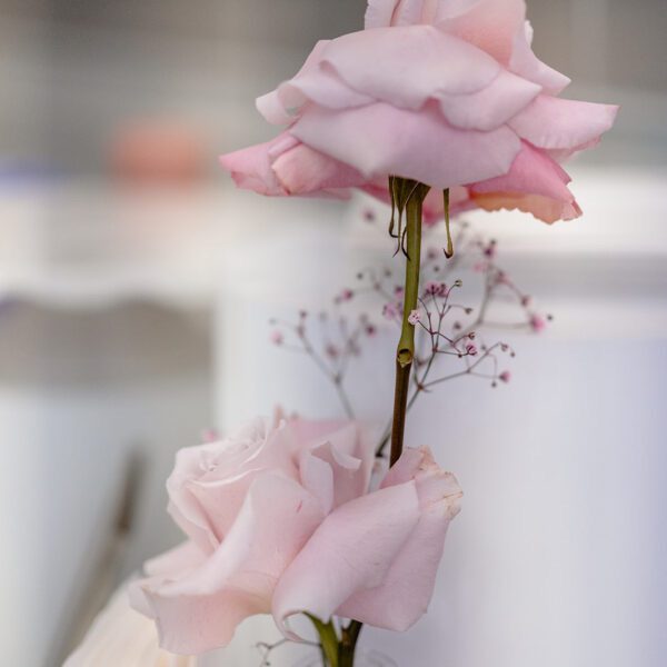 Katarzyna Cepa Desing