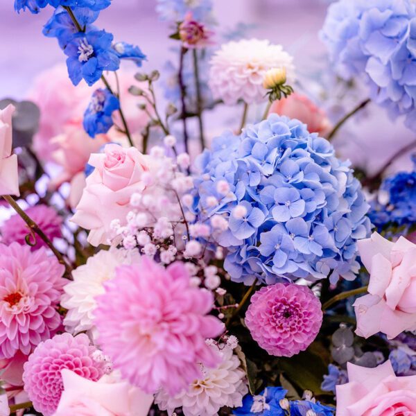 Katarzyna Cepa Desing