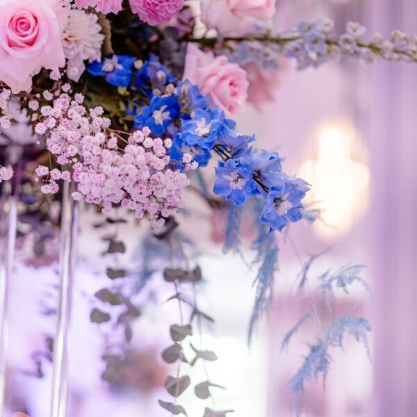 Katarzyna Cepa Desing