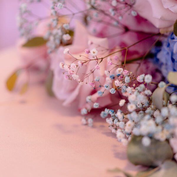 Katarzyna Cepa Desing