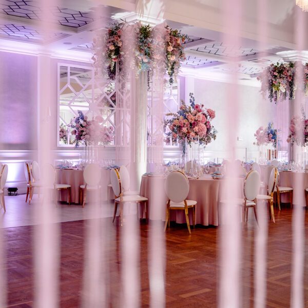 Katarzyna Cepa Desing